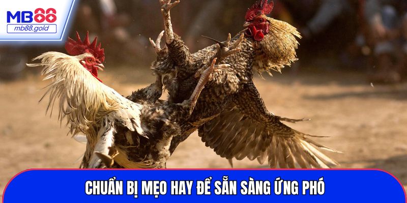 Chuẩn bị mẹo hay để sẵn sàng ứng phó