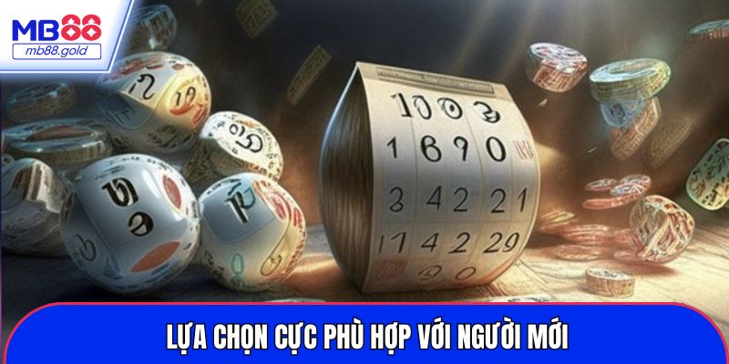 Lựa chọn cực phù hợp với người mới